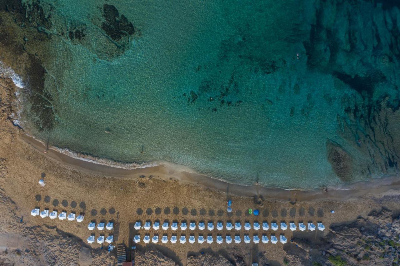 Ifestos Kings Resort Appartment Paphos Bagian luar foto