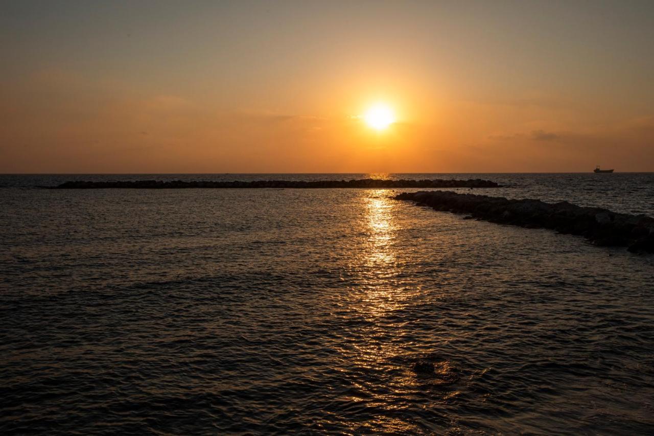 Ifestos Kings Resort Appartment Paphos Bagian luar foto
